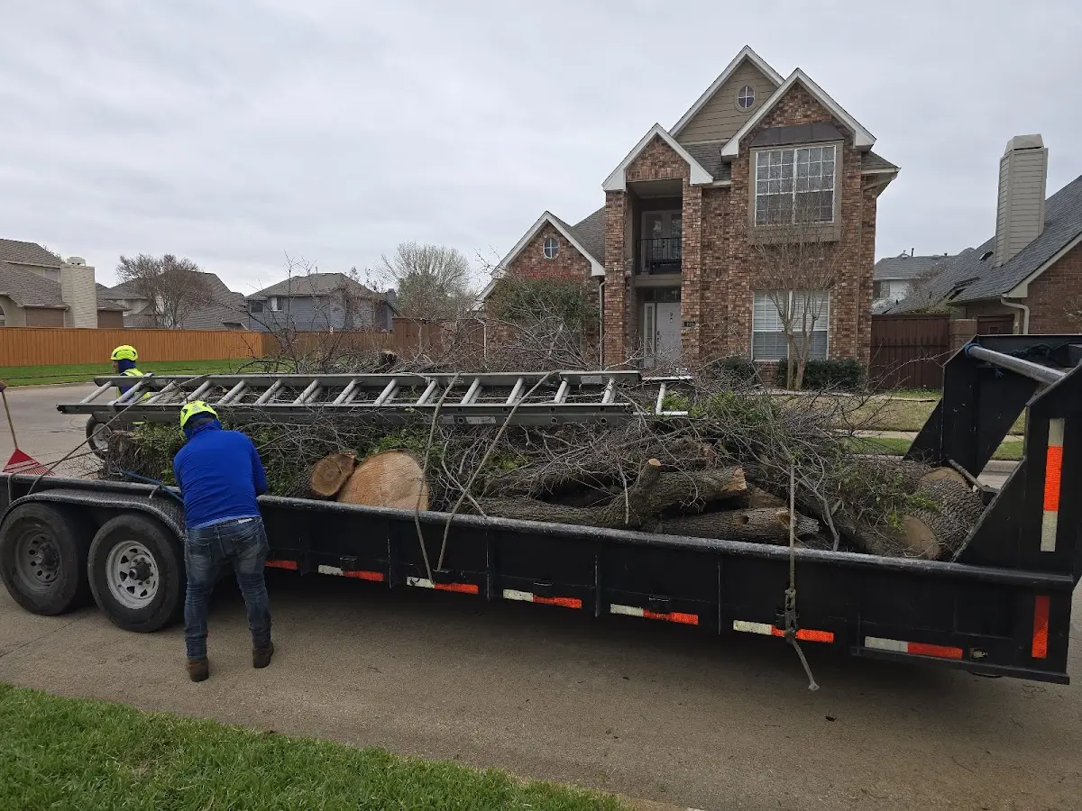 Expert Lot Clearing with proper safety equipment in Pace